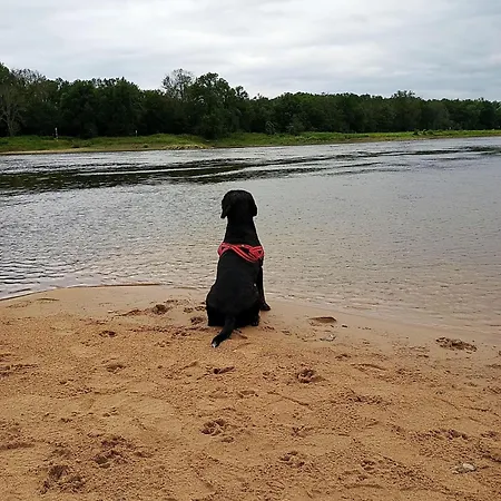 Gaestequartier-mittendrin-in-coswig-anhalt 科斯维格