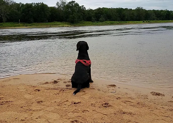 Gaestequartier-mittendrin-in-coswig-anhalt 科斯维格