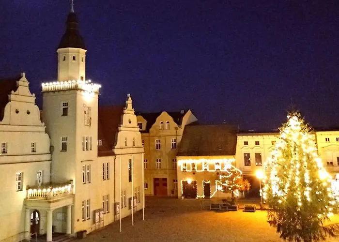 Gaestequartier-mittendrin-in-coswig-anhalt 公寓